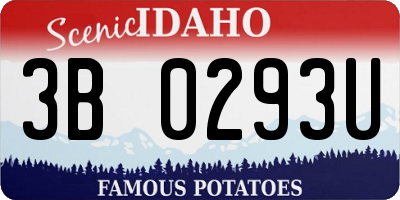 ID license plate 3B0293U