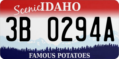 ID license plate 3B0294A