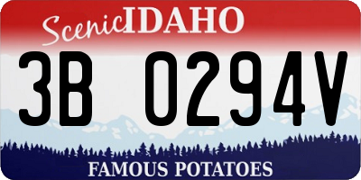ID license plate 3B0294V