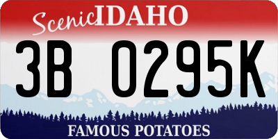 ID license plate 3B0295K