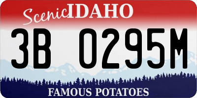 ID license plate 3B0295M