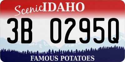 ID license plate 3B0295Q