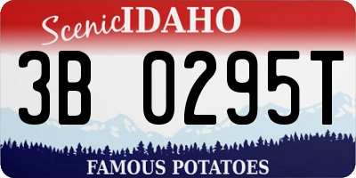 ID license plate 3B0295T