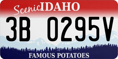 ID license plate 3B0295V