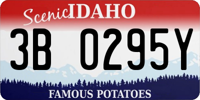 ID license plate 3B0295Y