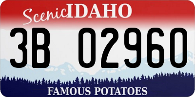 ID license plate 3B0296O