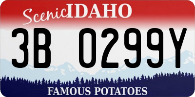ID license plate 3B0299Y