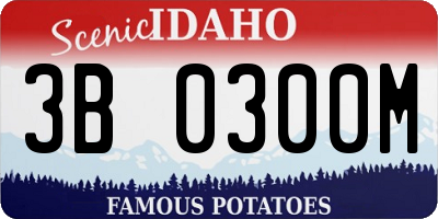 ID license plate 3B0300M