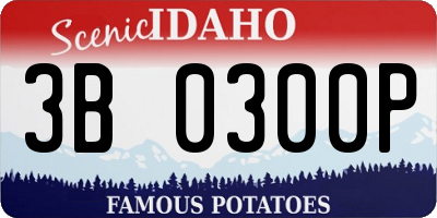 ID license plate 3B0300P