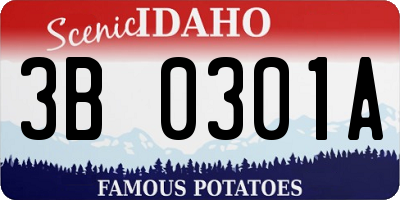 ID license plate 3B0301A