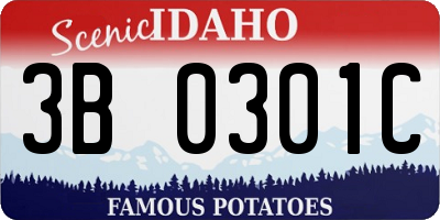 ID license plate 3B0301C