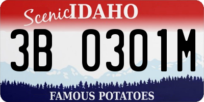 ID license plate 3B0301M