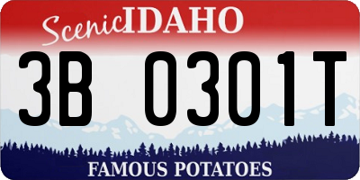 ID license plate 3B0301T