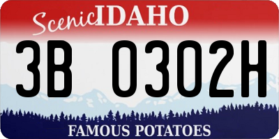 ID license plate 3B0302H