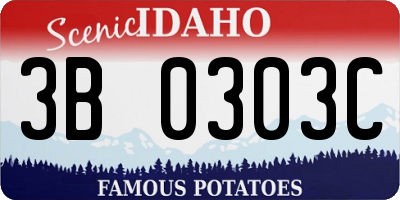 ID license plate 3B0303C