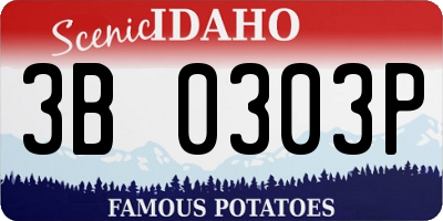 ID license plate 3B0303P