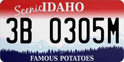 ID license plate 3B0305M