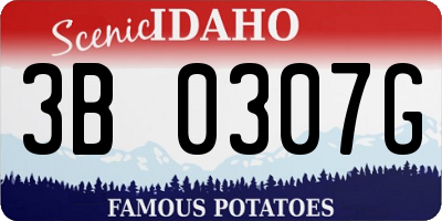 ID license plate 3B0307G