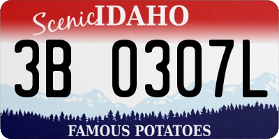 ID license plate 3B0307L