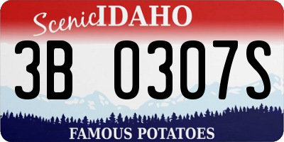 ID license plate 3B0307S