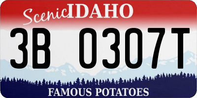 ID license plate 3B0307T