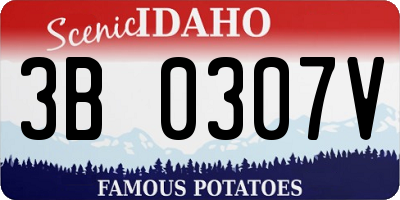 ID license plate 3B0307V