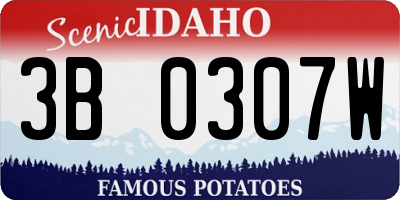 ID license plate 3B0307W