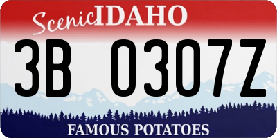 ID license plate 3B0307Z