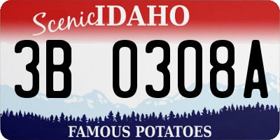 ID license plate 3B0308A