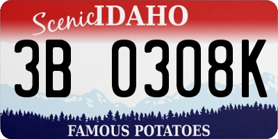 ID license plate 3B0308K