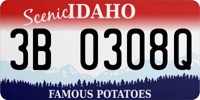 ID license plate 3B0308Q