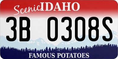 ID license plate 3B0308S