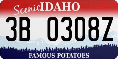 ID license plate 3B0308Z