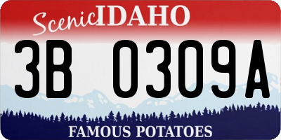 ID license plate 3B0309A