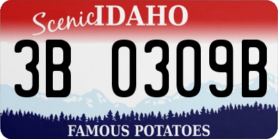 ID license plate 3B0309B