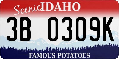 ID license plate 3B0309K