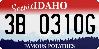 ID license plate 3B0310G