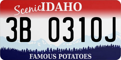 ID license plate 3B0310J