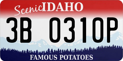 ID license plate 3B0310P