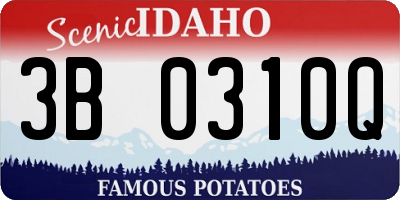 ID license plate 3B0310Q