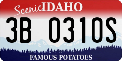 ID license plate 3B0310S
