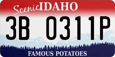 ID license plate 3B0311P