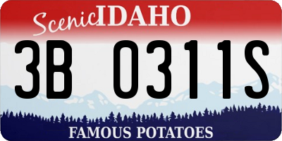 ID license plate 3B0311S