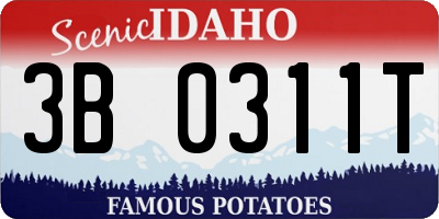 ID license plate 3B0311T