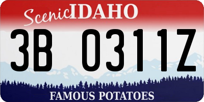 ID license plate 3B0311Z