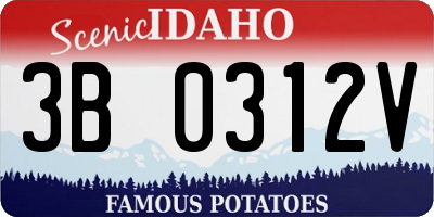 ID license plate 3B0312V