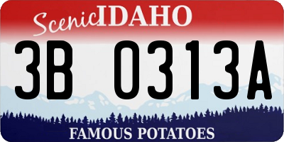 ID license plate 3B0313A