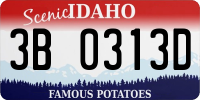 ID license plate 3B0313D