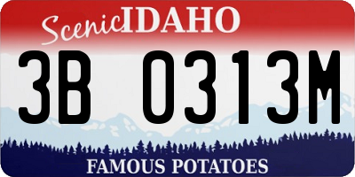 ID license plate 3B0313M