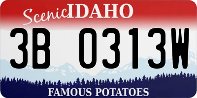 ID license plate 3B0313W